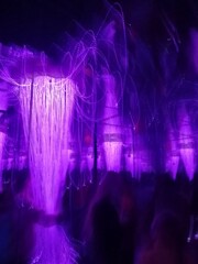 Purple neon light in a nightclub