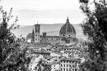 Fototapeta premium The dome of the Santa Maria del Fiore Cathedral, Florence, Italy