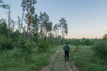 walking man in the foggy forest