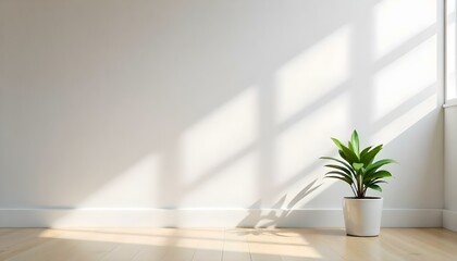 A minimalist indoor scene with a small potted plant and dramatic lighting from a window, creating a serene and calming atmosphere