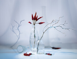Modern still life with a pepper branch in a transparent bottle on a light background