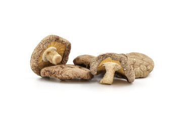 Dried Shiitake Mushroom on a white background