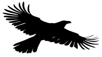 Silhouette of a soaring eagle in flight