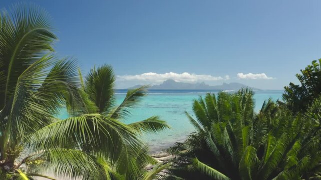 Green palm trees frame breathtaking view of Moorea island, turquoise water pacific ocean, tropical paradise scene in Tahiti, French Polynesia. Remote wild nature, exotic summer travel background