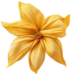 Golden Flower Delicate Petals Textured Bloom