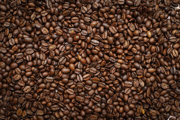 coffee cup with coffee beans on pastel background. flat lay, top view