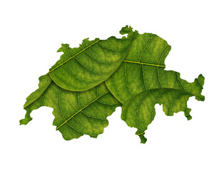 Switzerland map made of green leaves on white background ecology concept
