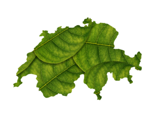 Switzerland map made of green leaves on white background ecology concept
