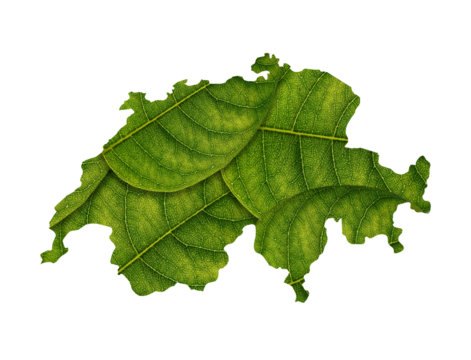 Switzerland map made of green leaves on white background ecology concept
