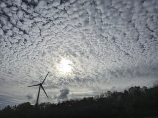 Windmill Silhouetted Against Dusk Sky with Clouds and Branches