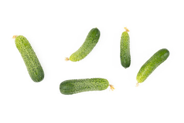 Fresh cucumbers on a white background