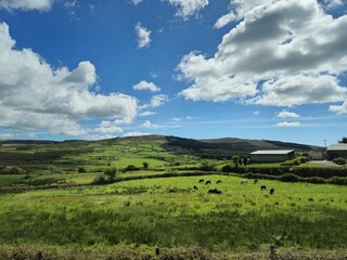 Naklejka premium Cloudy Highland Landscape with Trees and Grass