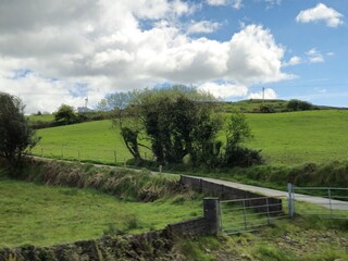 Highland Landscape with Trees and Clouds