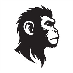 monkey head illustration on white background
