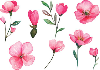 Botanical Watercolor Pink flowers art