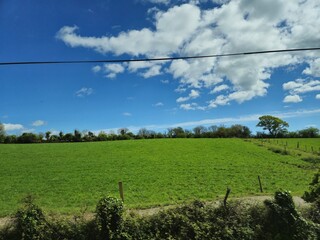 Natural Landscape with Trees and People Under a Cloudy Sky © Studio-M