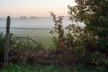 Foggy Countryside Meadow at Sunrise