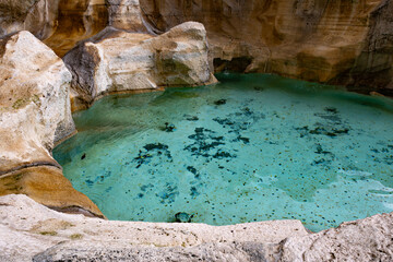 Les pièces de la Fontaine de Trévi