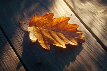 Obraz premium A single, sunlit, golden autumn leaf rests on weathered wooden planks.