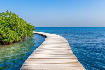 A serene shot of mangroves in Abu Dhabi, with wooden pathways winding through lush greenery and calm blue waters
