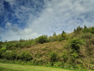 Obraz premium Natural Landscape with Cumulus Clouds and Grassland Slope
