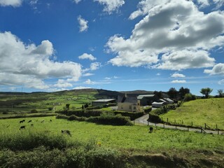 Cumulus Clouds Over Grassland Landscape © Studio-M