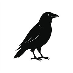  Crow icon Silhouette vector illustration on white background