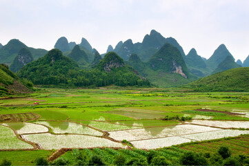 Rice fields where mountains are reflected in Yangshuo, Sichuan, China