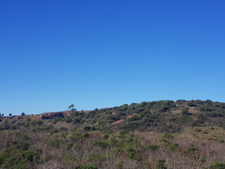Veduta