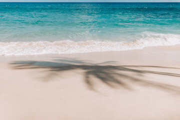 A serene tropical beach with gentle waves washing over the soft sand. The shadow of a palm tree adds a touch of natural beauty to the scene. The clear blue water and pristine shore create a perfect