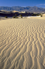 Desert Sand Dunes