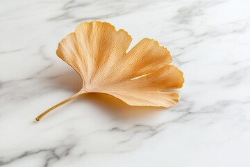 Naklejka premium Single dried ginkgo leaf rests on a marble surface, showcasing its delicate veins and autumnal hue.