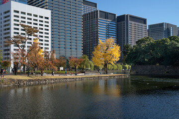 Obraz premium Imperial Palace and Gardens in central Tokyo, Japan.
