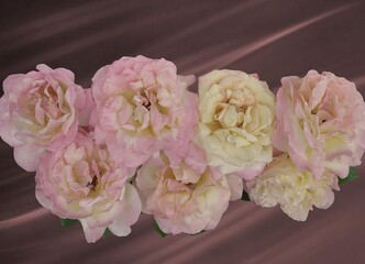 Many flowers of roses, pink and yellow, lying horizontally on a chocolate-colored background, for wallpaper, for decoration.