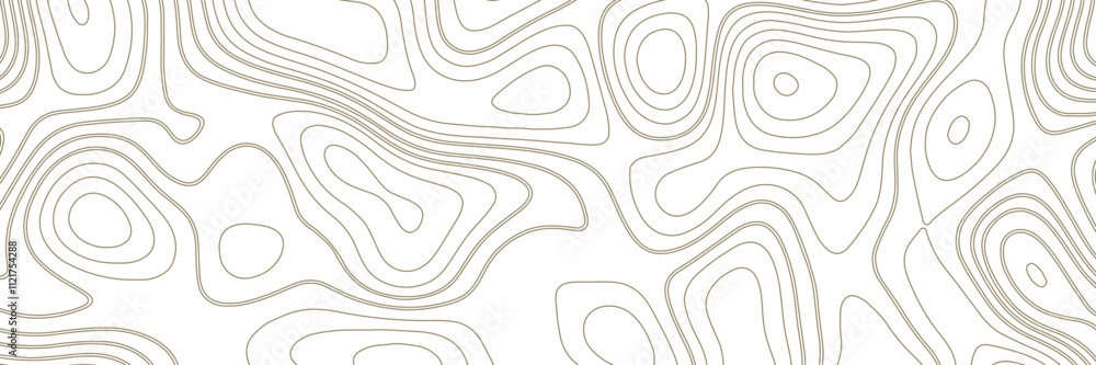 Poster abstract geographic mountain relief. lines background vector. topographic map contour background.