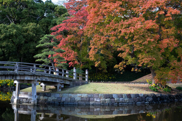 Japan, Tokyo, Hamarikyu Garden in momiji season.