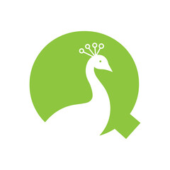 Letter Q Peacock Logo Design Vector Template