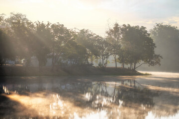 The morning sun shines through the trees and mist floats on the water. to the reservoir of the Tha...