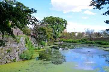 岡崎城 龍城堀