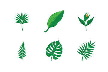  Tropical Leaf Vector Set Vibrant Designs for Nature-Inspired Creativity

