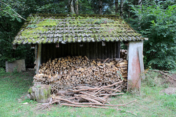 Capanna con tettoia con legnaia nel bosco
