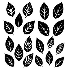 Set vector silhouettes tropical leaves. black and white leaves