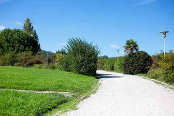 Path in the park with green grass, trees and lampposts