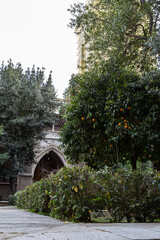 Obraz premium A serene and peaceful view of a small garden located at the foot of a church