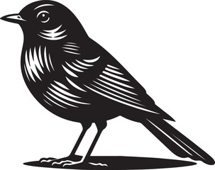 Fototapeta premium Robin Silhouette Clipart Design