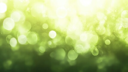 Obraz premium Sunlit green abstract background with soft bokeh effect creating a serene and tranquil nature atmosphere for creative projects