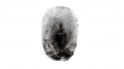3D Fingerprint Biometric Security Digital Identity Authentication Technology