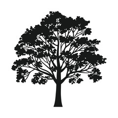 black tree silhouette in white background.
