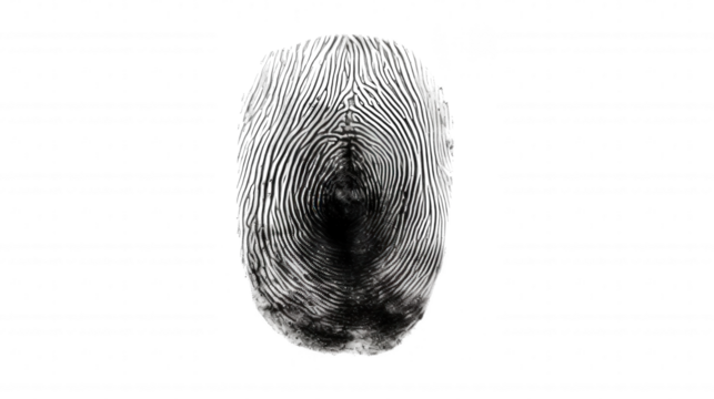 3D Fingerprint Biometric Security Digital Identity Authentication Technology