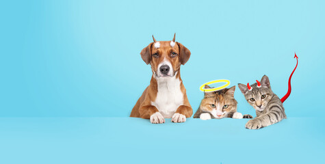 Cats and dog as angle and devil in front of colored background. Funny group of pets dressed with...